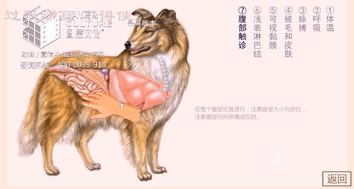 ػʵͼĻ޹˾//ѧУ/ѧμ